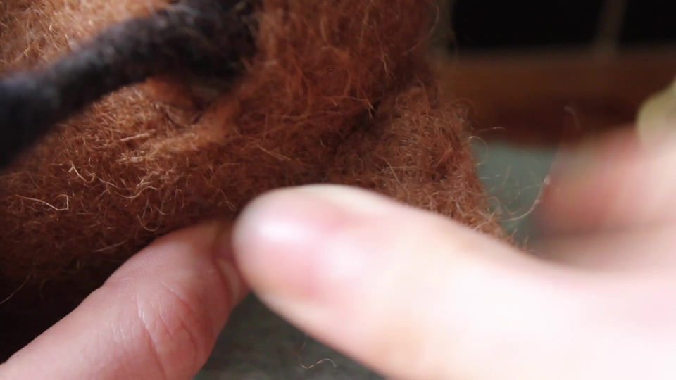 Chapter 3 - Coat and upper legs